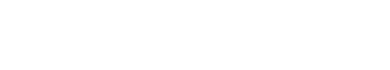 VEDZEN UK LTD